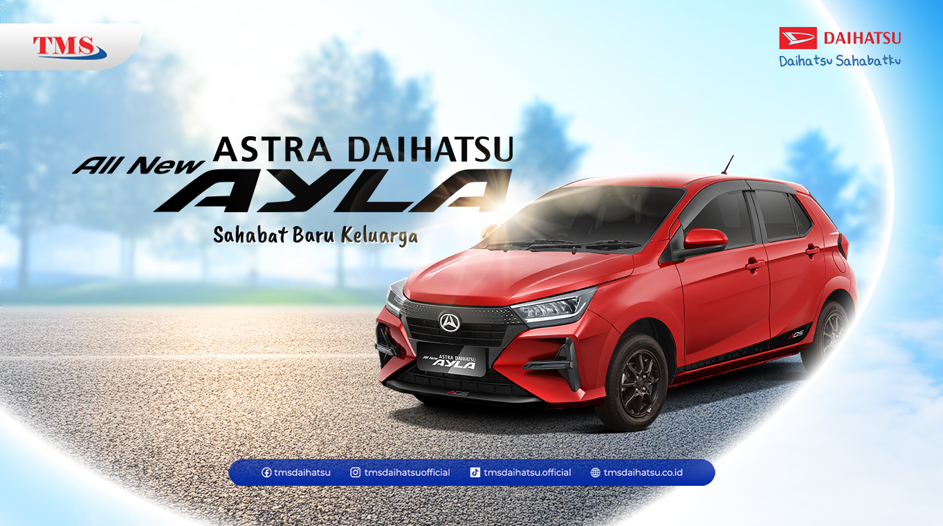 All New Ayla_Banner