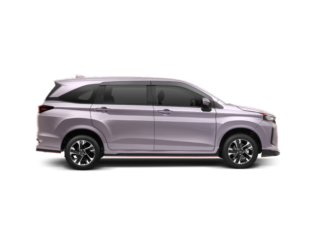 Purplish Silver_Xenia